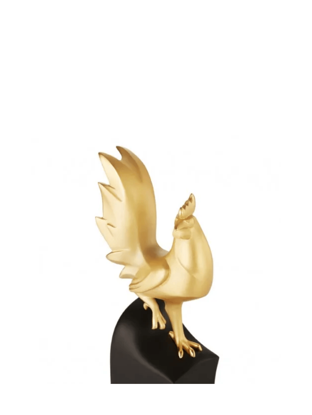 figure image
