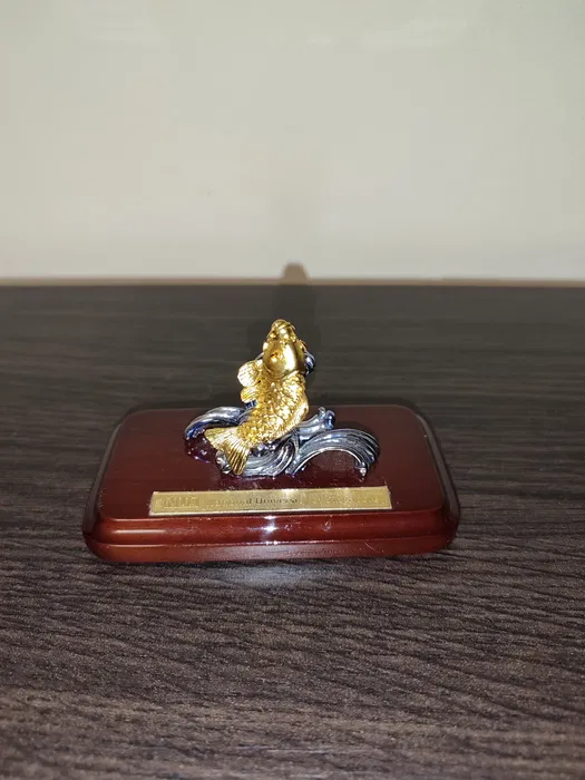 figure image